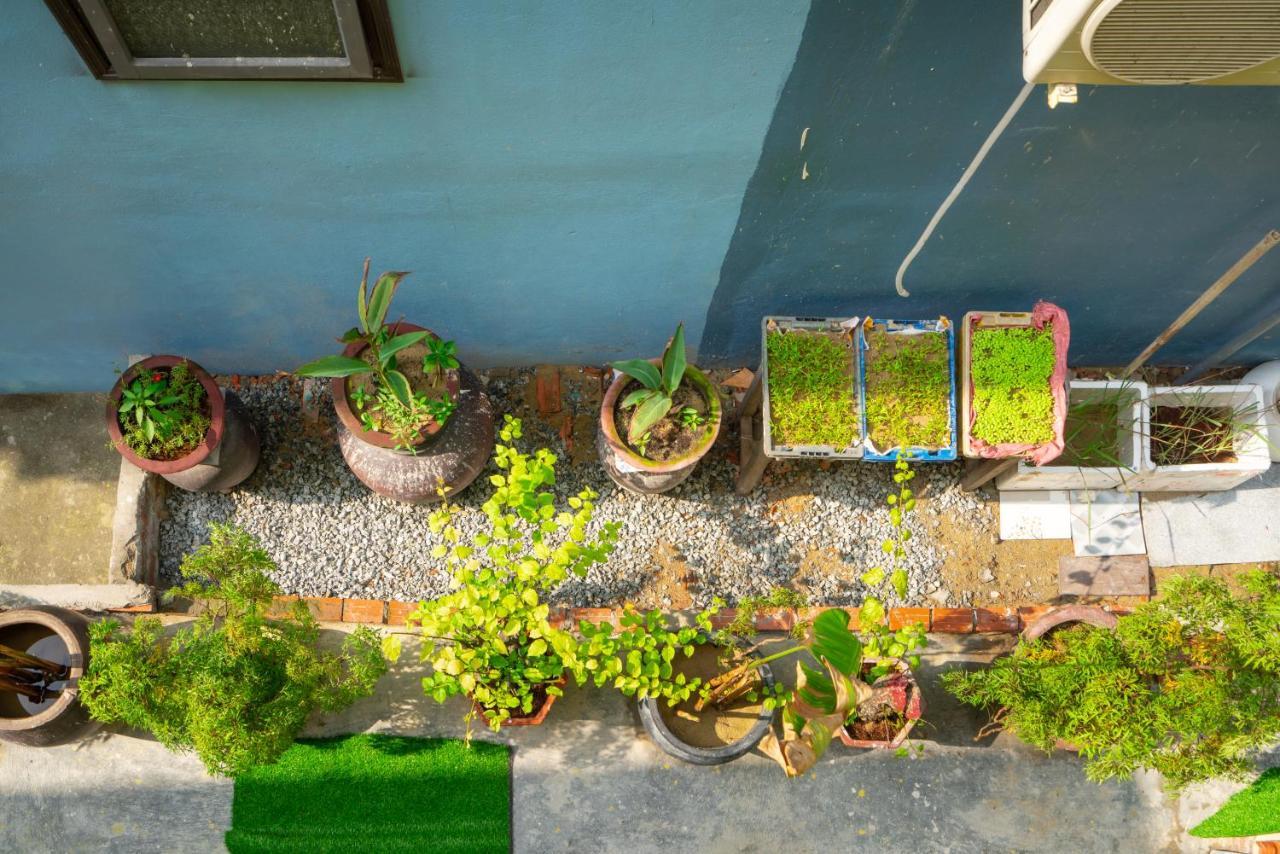 An Bang Sea Adventure Homestay Hoi An Dış mekan fotoğraf